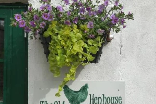 The Old Henhouse